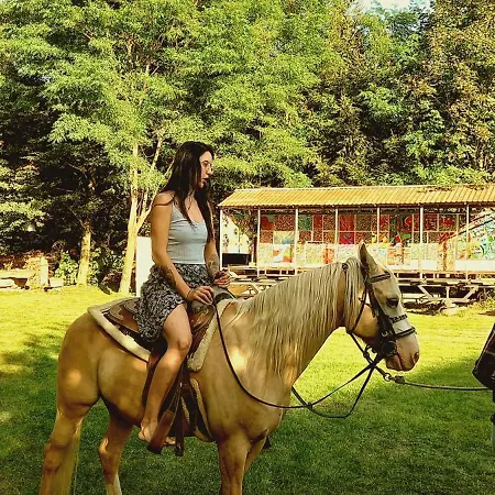 別荘 Slavonice Modletice S Rekou A Rybniky Pro Rodiny Písečné